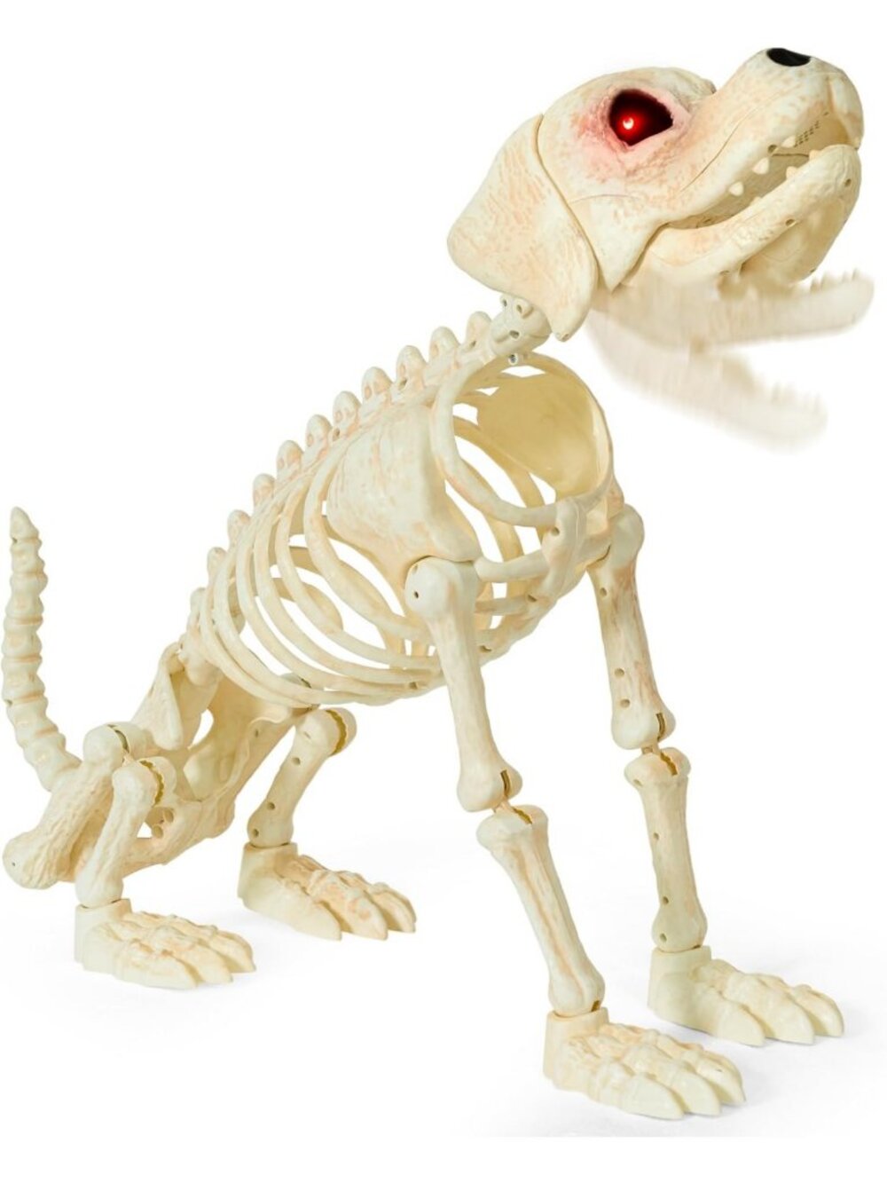 JOYIN Halloween Golden Retriever Skeleton 34” Animal Dog Plastic Skeleton with